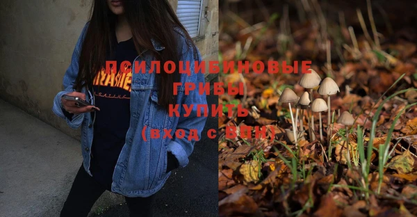 PSILOCYBIN Каменск-Шахтинский