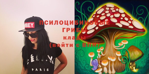 PSILOCYBIN Каменск-Шахтинский