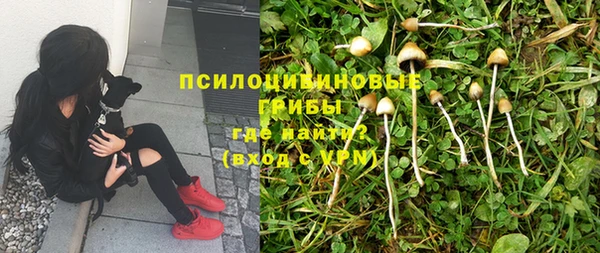 таблы Инсар