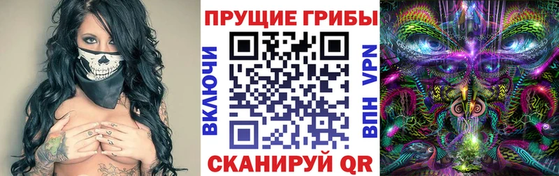 Галлюциногенные грибы ЛСД  hydra зеркало  Чехов 